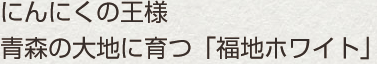 黒にんにく